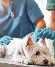 Eva Christine Wild Bild 3