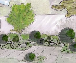 VITA VERDE AG Bild 10