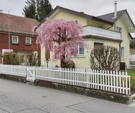 Sportivo GmbH Bild 2