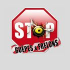 Leforestier Philippe