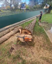 Au Pic de l'Arbre image 2