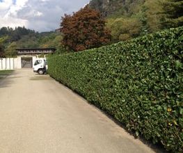 Biava Mattia - Giardiniere paesaggista Bild 14