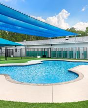 Pet Paradise Pooler image 2