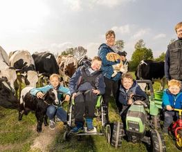 Hof Mindrup Bild 8