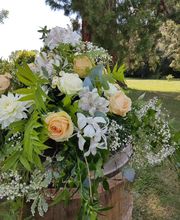 Art et Création Pervenche image 3