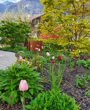 Küng Garten AG Bild 14