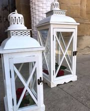 Floristería Campo y Jardín imagen 7