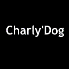 Charly'Dog