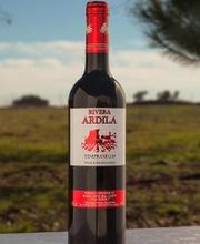 Cooperativa del Campo San Isidro imagen 13