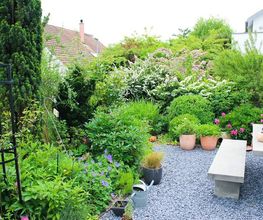 Ribi Gartenbau GmbH Bild 7