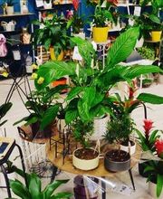 Bricomarché Saint-Agathon image 7