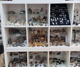 N-G-L-Shop Bild 14