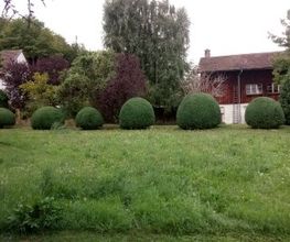 Mémoires d’Arbres Bild 10