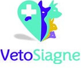 VetoSiagne Pégomas image 1