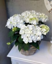 Hair&Nails Patrizia Karner Bild 5