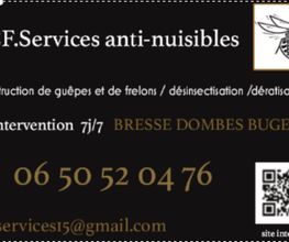 CF Service image 2