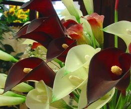 diaz-floristas-flores-04.jpg