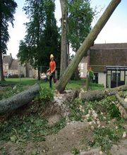 Vertical'Elagage image 1