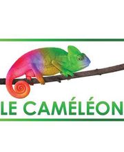 STE Le Caméléon image 2