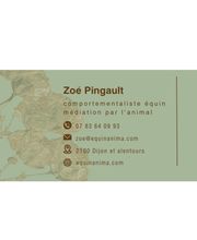 Equin' Anima image 2
