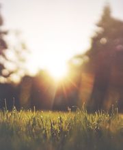 Augsburger Gartenbau GmbH Bild 7