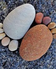 Masson Aline image 1