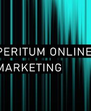 Peritum Online Marketing Consulting Bild 2