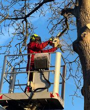 Christian Baumpflger