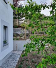 Küng Garten AG Bild 6