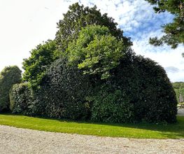 Benoît Paysage image 9