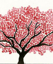 Duffaut Maylis image 1