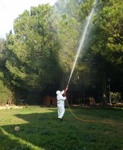 AST Pestcontrol imagen 13