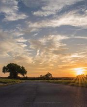 Irving Arts Center image 5