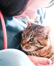 Dublin Veterinary Hospital image 5