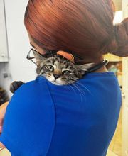 Lincoln Avenue Cat & Dog Hospital image 20