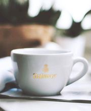 DALLMAYR Distribution Automatique image 13