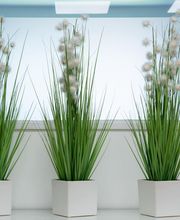 SCP Lefebvre & Thevenot image 4