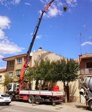 Grúas Muncal imagen 6