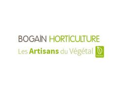 Bogain Scea image 1