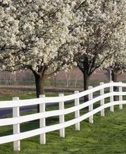 Santon Nos Jardins image 1