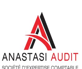 Anastasi Audit image 1