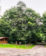 FriedWald Lauterbach Bild 11