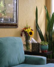 Shumway Cosmetic Surgery image 4