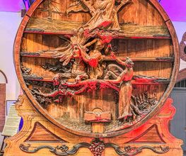 GRAPE EXPERIENCE image 8