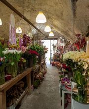 Art Et Nature image 18