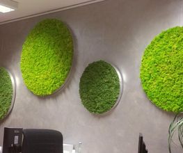Franzen Moos Wanddesign Bild 15