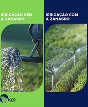 Zanagro Agrocomercial imagen 11