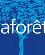 Agence immobilière Laforêt Dijon image 2