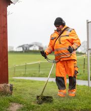 Günter Prehn GmbH Gartenpflege und Gartengestaltung Bild 13