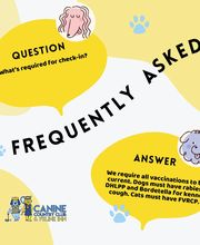 Canine Country Club & Feline Inn image 20